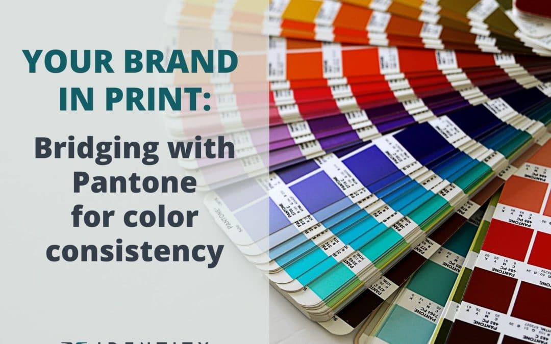 CMYK Colour Swatch Guide Pantone Matching Book for Creative Graphic Design 
