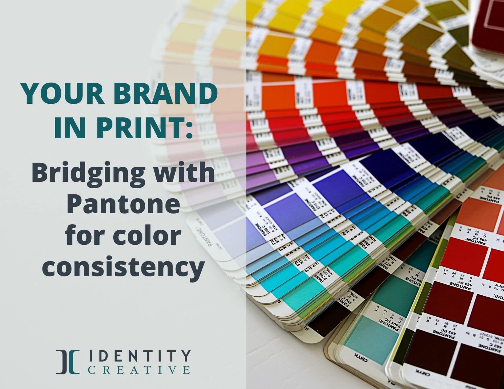 Your Brand in Print: Bridging with Pantone for Color Consistency